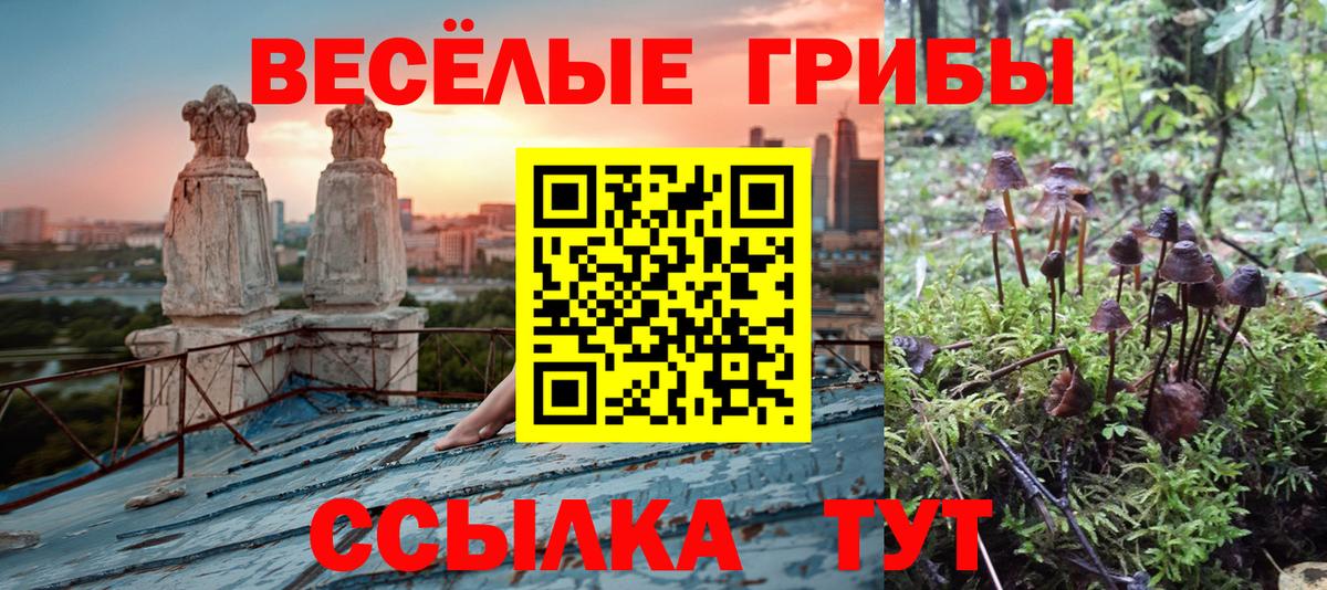 Псилоцибиновые грибы Psilocybe  Вход с VPN  Урюпинск 